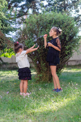 Fototapeta premium Two sisters are playing with soap bubbles