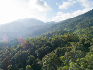 Fototapeta premium Aerial view of mountains with green dense tropical rainforests and morning fog in the sunrise