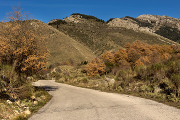 Road in the mountains