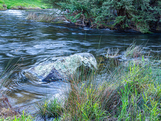 Mossy Rock in Water