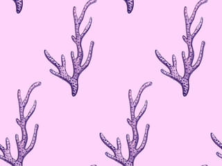 Hand paint watercolor coral sea ocean seamless for design scrap book paper, textile, web sites, pattern fills