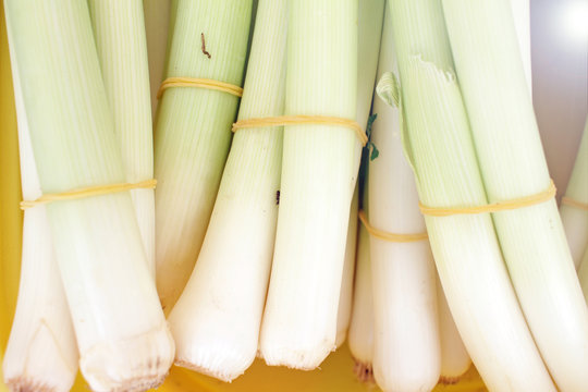 Leek. Organic leek pattern. Leek background.