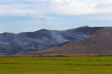 Wildfire in the field