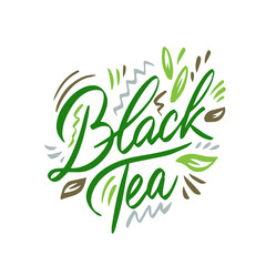 Black tea hand drawn illustration. Template for card banner and poster for restaurant menu and package. Vector illustration