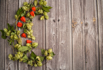 Autumn composition. Stems and cones of hops, orange lanterns of physalis on a wooden background.