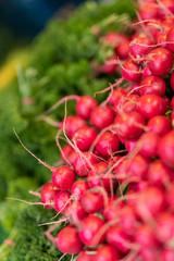 Wochenmarkt mit frischen Radieschen