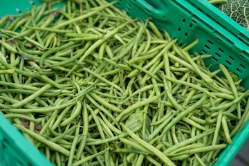 Wochenmarkt mit frischen Bohnen