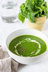 Spanish tomato soup gazpacho on a white background. Green soup.