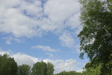 Obraz premium Nature