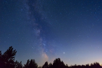 night outdoor scene, night starry sky with milky way above the forest silhouette