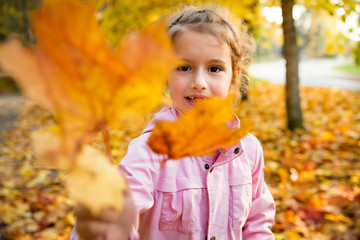 Cute little girl with missing teeth playing with yellow fallen leaves in autumn forest. Showing leaf to the camera. Happy child laughing and smiling. Sunny autumn forest, sun beam. 