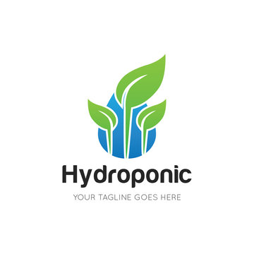 hydroponic logo and icon vector illustration design template