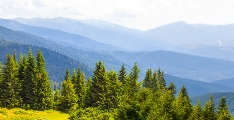 Fototapeta na wymiar green mountain valley in a blue mist