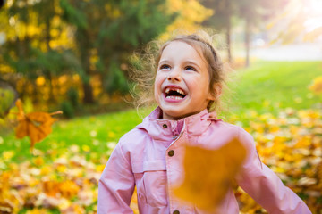 Portrait of Cute little girl with missing teeth playing with yellow fallen leaves in autumn forest. Happy child laughing and smiling. Sunny autumn forest, sun beam. 