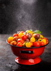 Cherry tomatoes. Summer useful vegetable for vegetarians. Variety of colors and tastes.