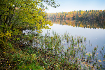 Serene Scandinavian autumn landscape of Southern Finland, Espoo. Colorful forest reflecting in calm lake water. Fallen leaves on water surface. 