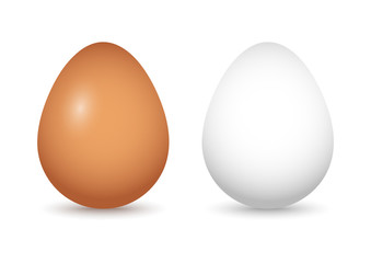 Set of brown and white eggs with shadow. Vector illustration