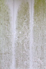 Plastic fence with green mold and dirt