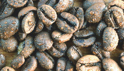 coffee beans on a wooden table for the site.