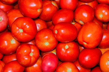 The Wallpaper of ripe tomatoes. Ripe tomatoes close up. Different varieties of tomatoes in one basket. Soft selective focus.