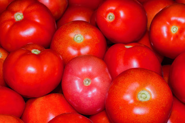 The Wallpaper of ripe tomatoes. Ripe tomatoes close up. Different varieties of tomatoes in one basket. Soft selective focus.