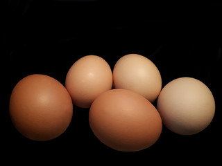 Homemade chicken eggs on black background.