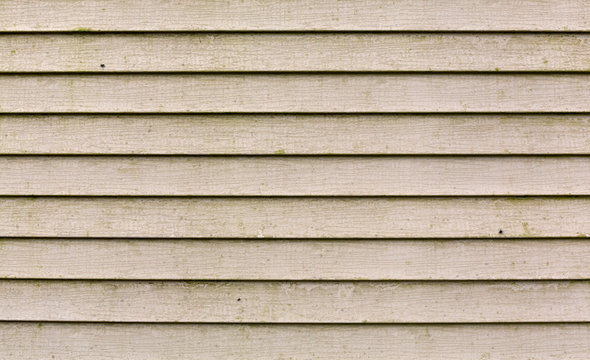 Very Moldy Beige Vinyl Siding