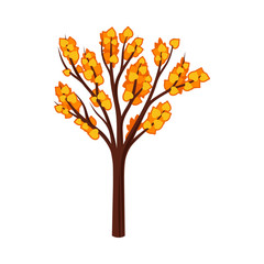 Naklejka na ściany i meble Silhouetted autumn tree with leaves. Vector illustration on a white background.