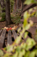 bouquet of autumn leaves and rowan berries on a bench
