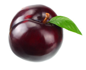 one plum fruit with green leaf isolated on white background.