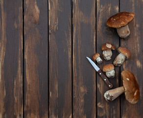 fresh mushrooms on wooden surface