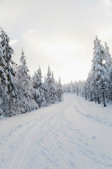 Fototapeta na wymiar mountain route in winter