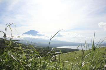 Mt. Fuji with beautiful nature