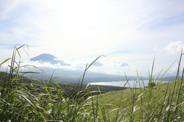 Mt. Fuji with beautiful nature