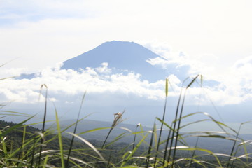 Mt. Fuji with beautiful nature