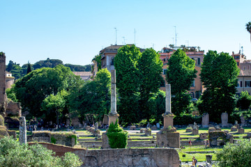 Fototapeta na wymiar Landscape of the ruins from the Roman Forum, Rome, Italy