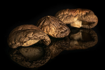 Group of three whole dry mushroom shiitake in row isolated on black glass