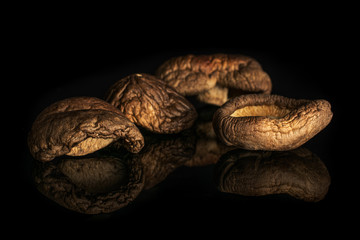 Group of three whole dry mushroom shiitake isolated on black glass