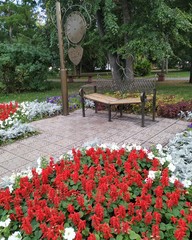 bench in the park