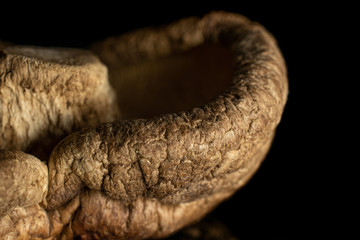 Closeup of one whole dry mushroom shiitake isolated on black glass