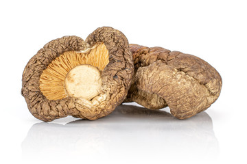 Group of two whole raw dry mushroom shiitake isolated on white background