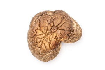 One whole dry mushroom shiitake heart shape flatlay isolated on white background