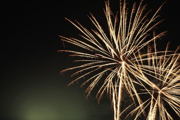 Firework flower in front of black background