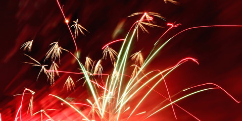 Firework flower in front of black background