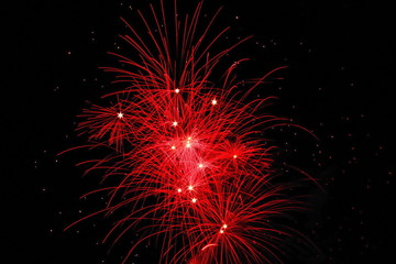 Firework flower in front of black background