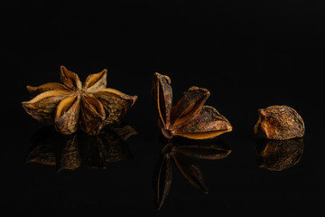 Group of one whole one quarter one piece of dry brown star anise illicium verum isolated on black glass