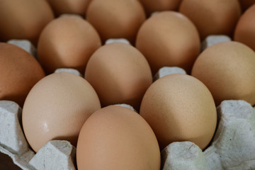 fresh eggs in a paper large tray