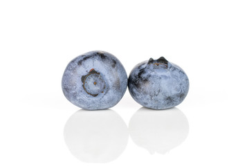 Group of two whole fresh blue bilberry isolated on white background