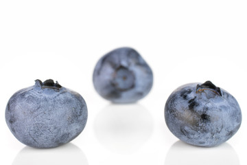Group of three whole fresh blue bilberry isolated on white background