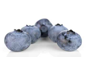Obraz premium Group of five whole fresh blue bilberry isolated on white background